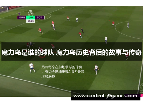 魔力鸟是谁的球队 魔力鸟历史背后的故事与传奇